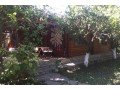cirali-olympos-13-wooden-home-lodge-for-sale-on-beach-small-8