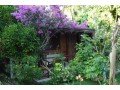 cirali-olympos-13-wooden-home-lodge-for-sale-on-beach-small-11