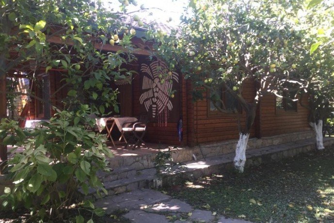 cirali-olympos-13-wooden-home-lodge-for-sale-on-beach-big-8