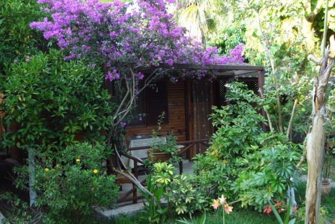 cirali-olympos-13-wooden-home-lodge-for-sale-on-beach-big-11