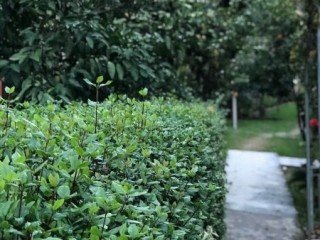 VILLA FOR SALE IN ANTALYA ALANYA AVSALLAR LOCALITY