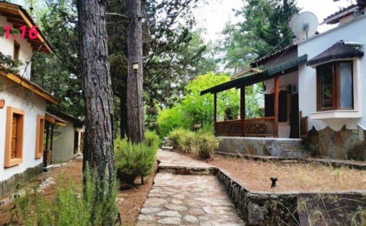 antalya-property-country-villa-for-sale-in-beycik-mountain-big-3