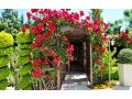 boutique-beach-hotel-for-sale-in-camyuva-kemer-small-11