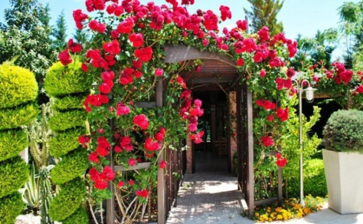 boutique-beach-hotel-for-sale-in-camyuva-kemer-big-11