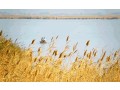 mersin-beach-hotel-for-sale-19-rooms-in-silifke-turkey-small-3
