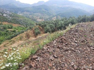 Alanya Demirtaş Tircilar Plot Suitable For Making A Home Garden