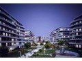 march-2020-delivery-panula-balat-is-expected-to-deliver-a-30-premium-to-buyers-small-9