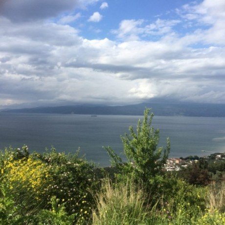 great-investment-opportunity-big-land-for-sale-in-bursa-turkey-big-1
