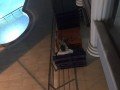 31-duplex-flat-for-sale-fully-furnished-near-altinkum-beach-didim-small-15