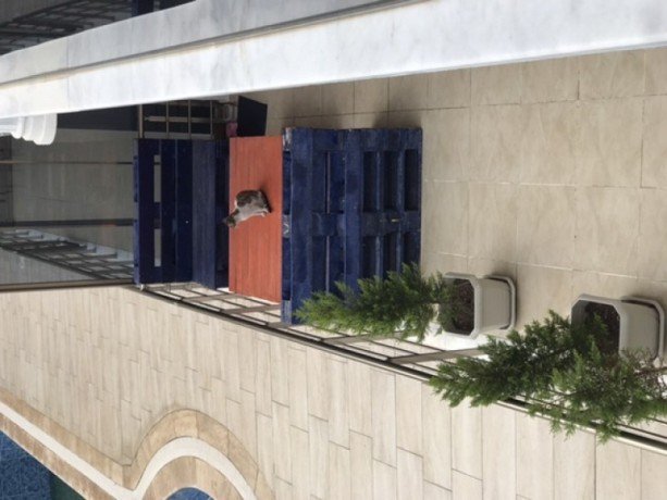 31-duplex-flat-for-sale-fully-furnished-near-altinkum-beach-didim-big-17